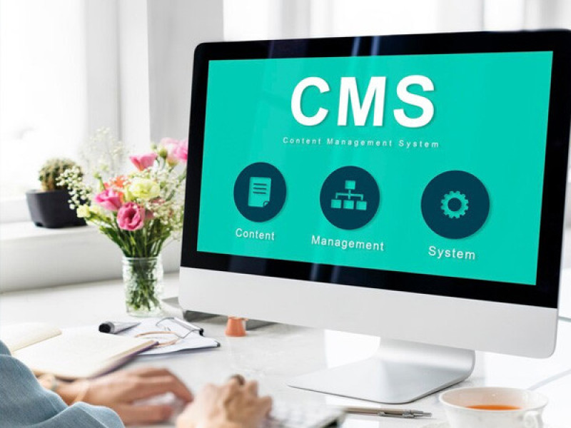 Ползите на CMS системите